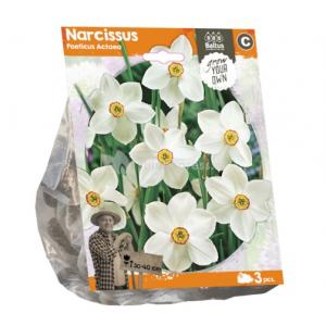 Baltus Narcissus Poeticus Actaea bloembollen per 3 stuks
